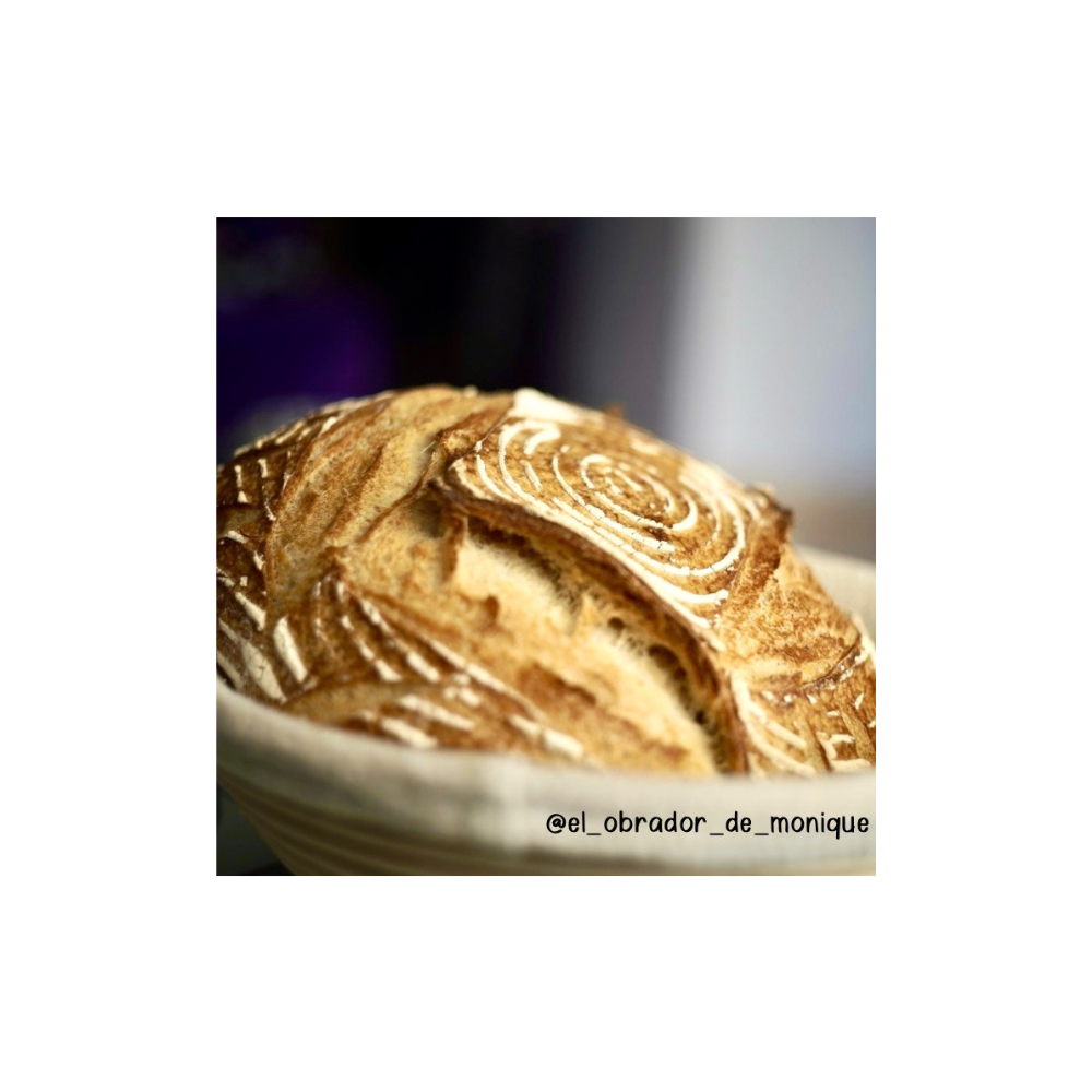 Logos of Distributors Logos of Distributors