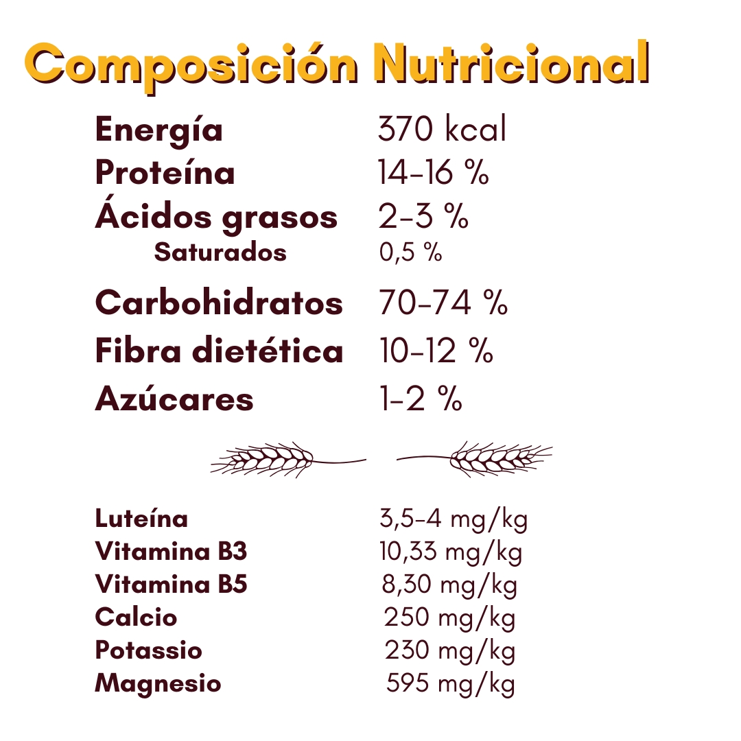Nutritional composition Tritordeum Nutritional composition Tritordeum