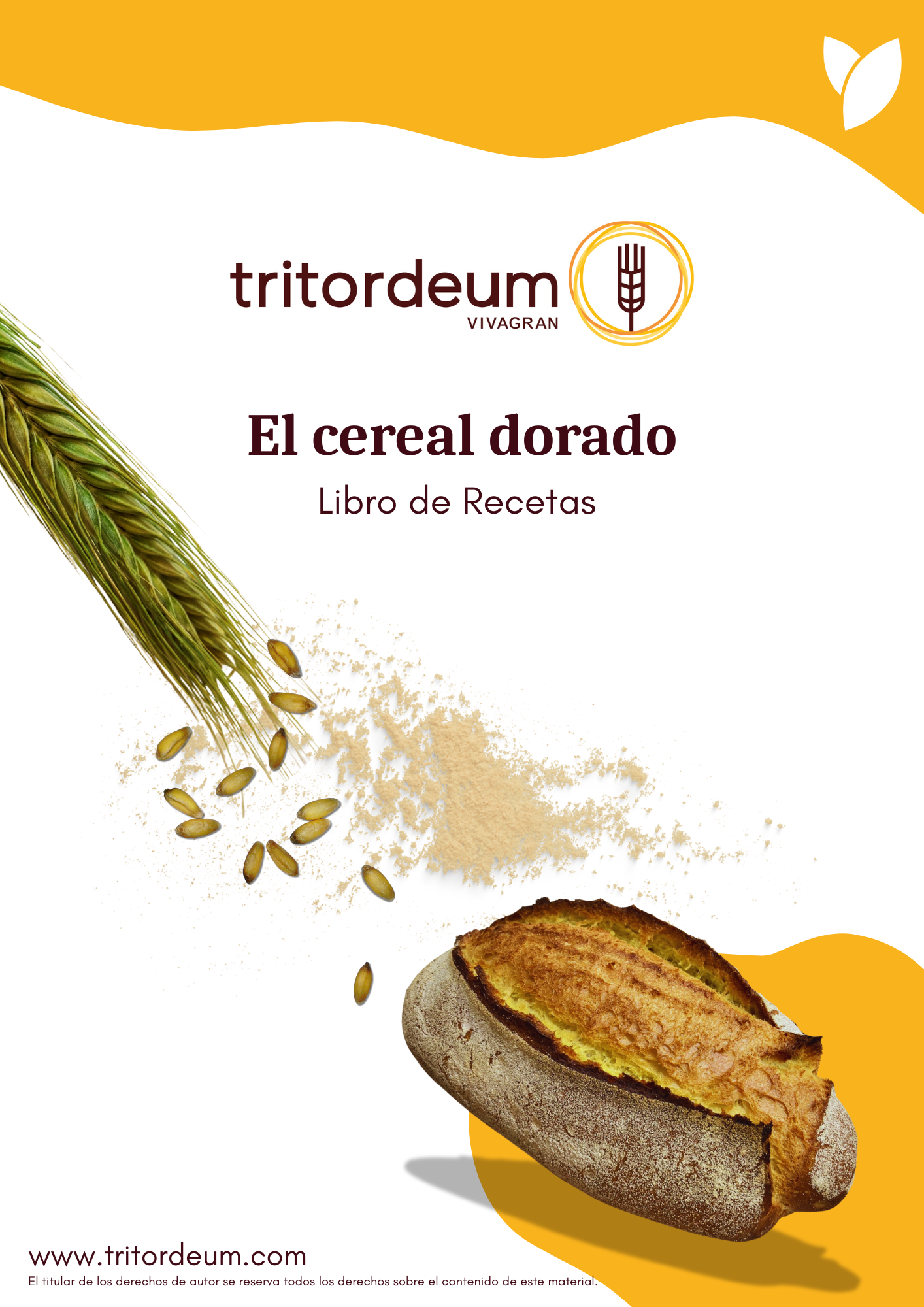Recetario - El Cereal Dorado