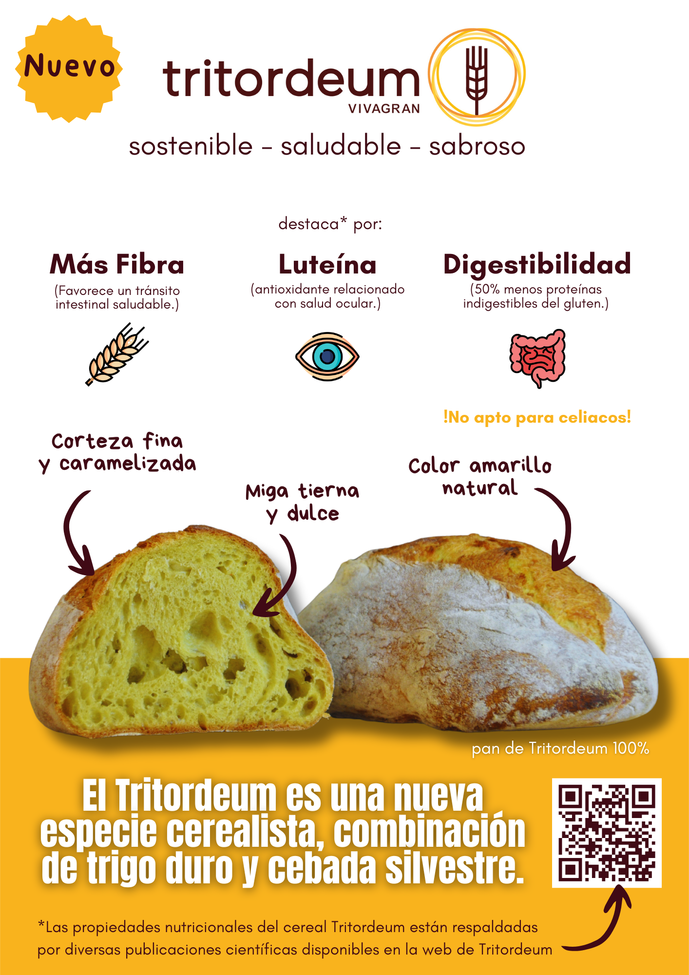 Poster Tritordeum - Brionut A3 Poster Tritordeum - Brionut A3