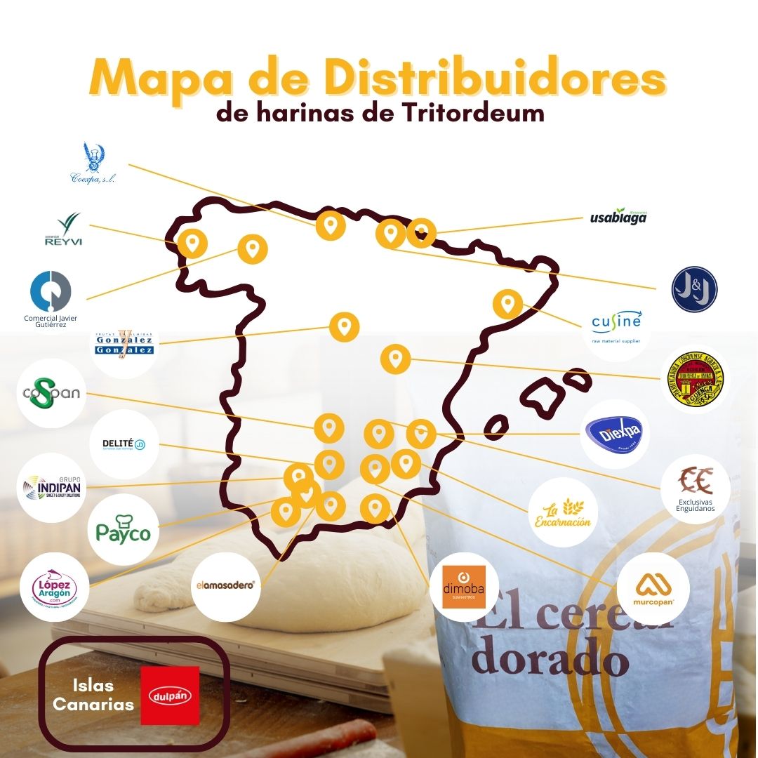 Mapa Distribuidores (1080 x 1080 px) (2) Mapa Distribuidores (1080 x 1080 px) (2)