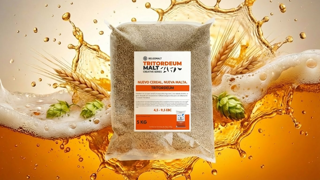 Replace_the_label_202511281034 Replace_the_label_202511281034