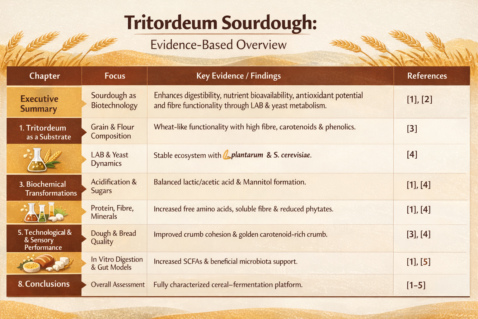 Tritordeum Sourdough - Evidence based overview Tritordeum Sourdough - Evidence based overview
