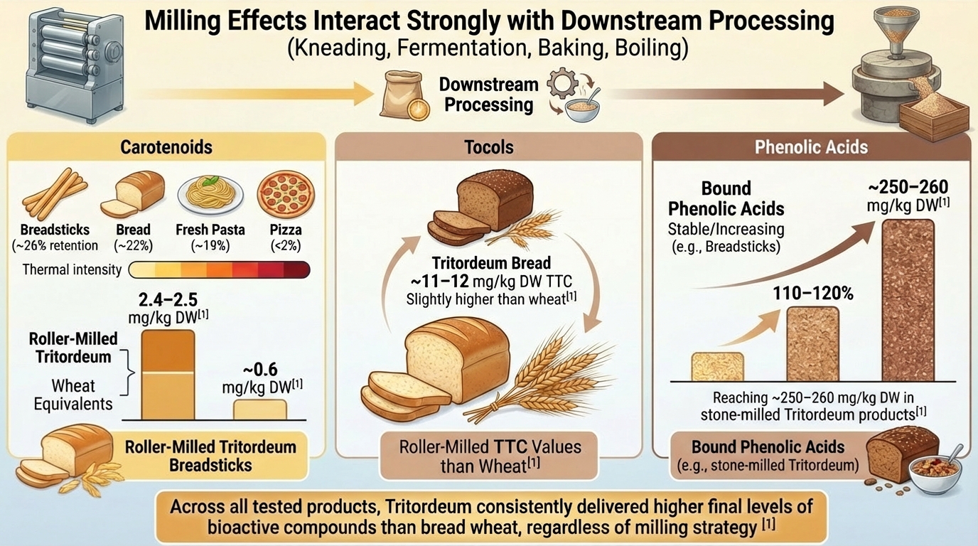 Just_change_the_202602021005 Just_change_the_202602021005